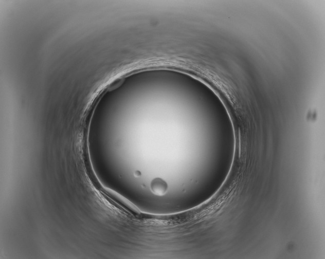 X0000096151500200801251052