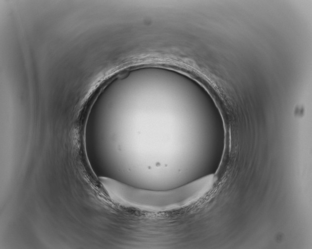 X0000096151501200801251052