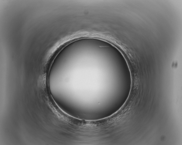 X0000096151503200801251053