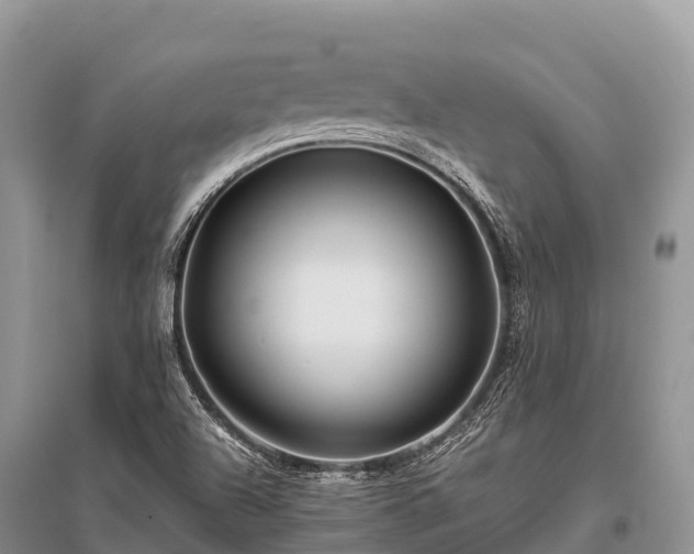 X0000096151504200801251053