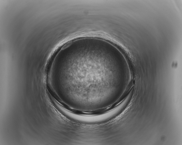 X0000096151506200801251053