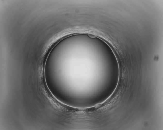 X0000096151507200801251053