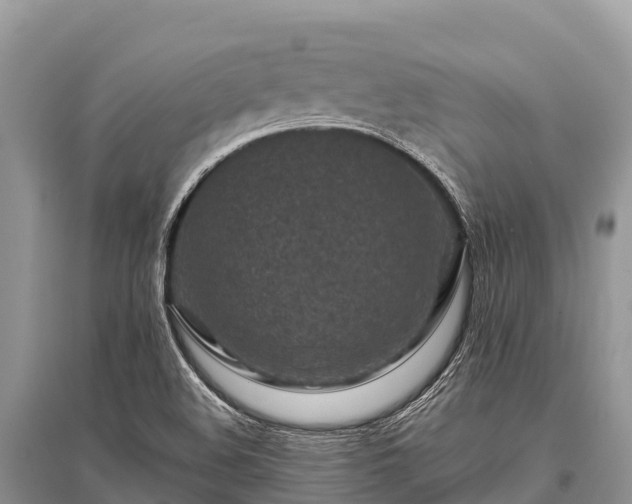 X0000096151508200801251053