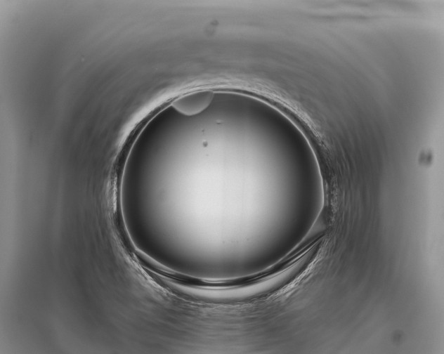 X0000096151510200801251053