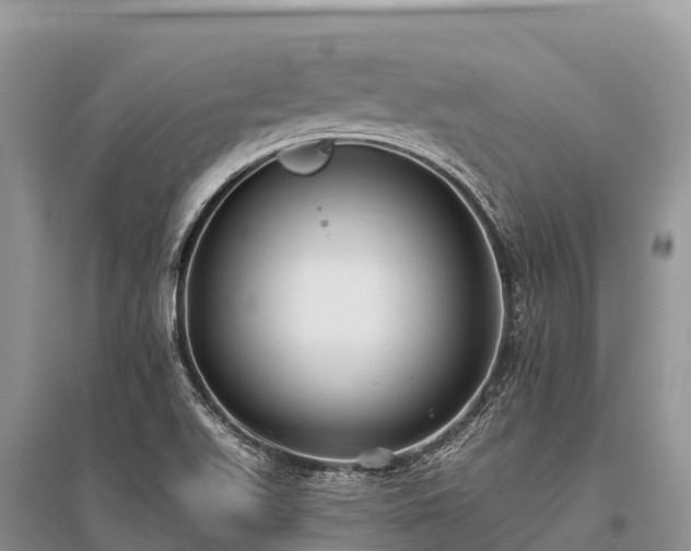 X0000096151511200801251053