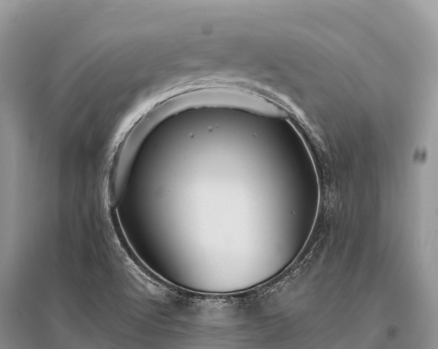 X0000096151512200801251053