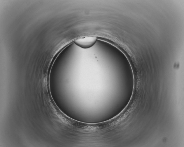 X0000096151513200801251053