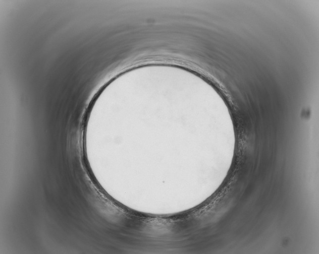 X0000096151514200801251053