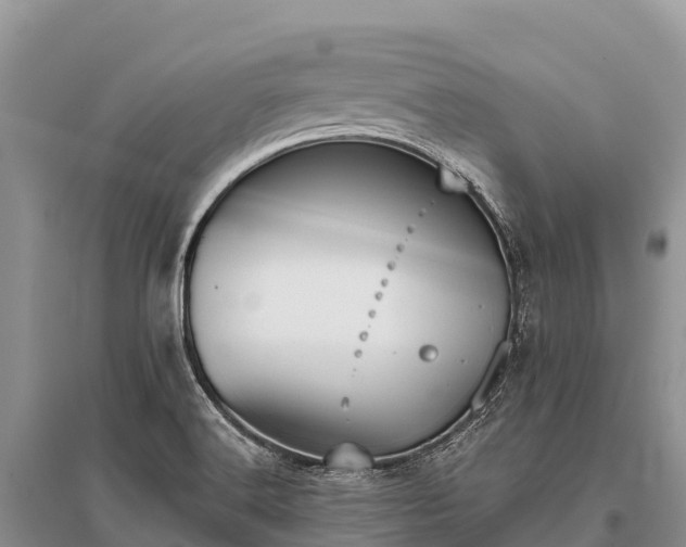 X0000096151516200801251053