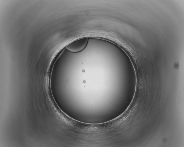 X0000096151517200801251053
