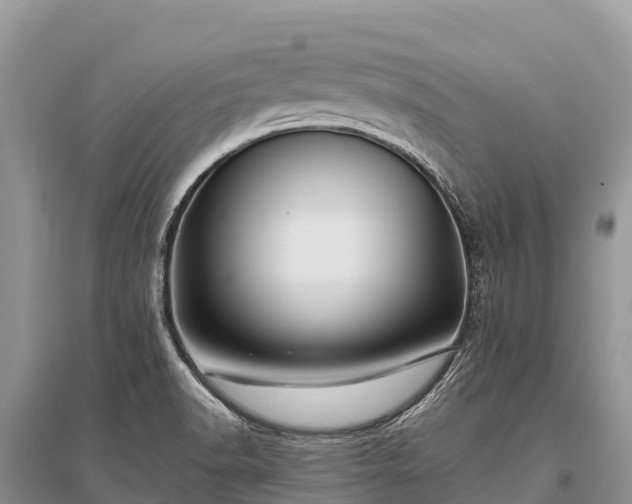 X0000096151518200801251053