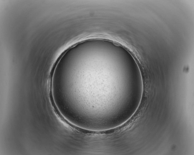 X0000096151519200801251053