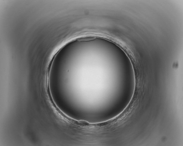 X0000096151520200801251053