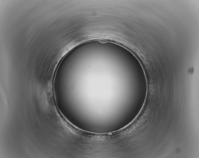 X0000096151521200801251053