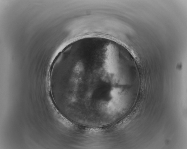 X0000096151522200801251053
