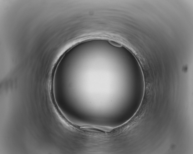 X0000096151523200801251053