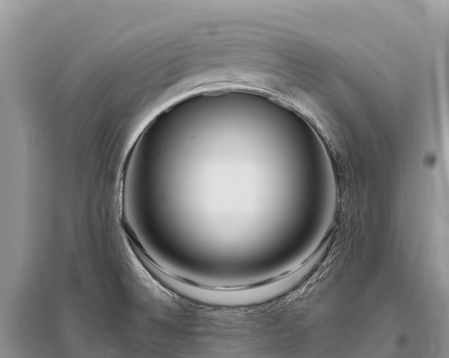 X0000096151524200801251053