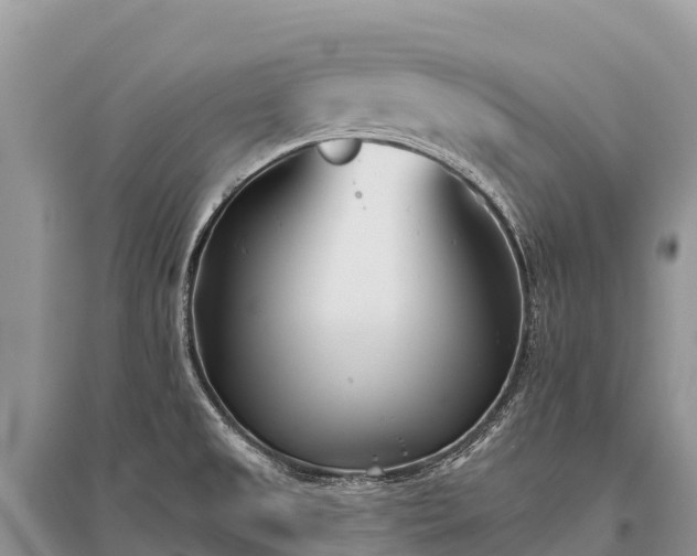 X0000096151525200801251053