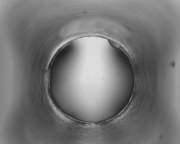 X0000096151526200801251053