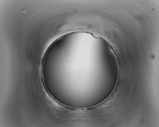 X0000096151527200801251053