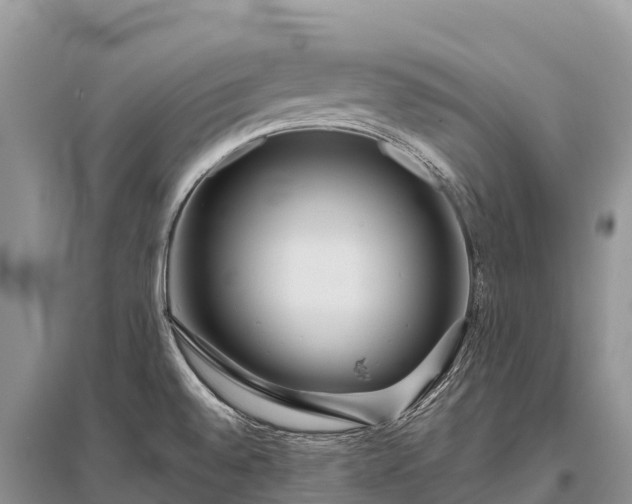 X0000096151528200801251053