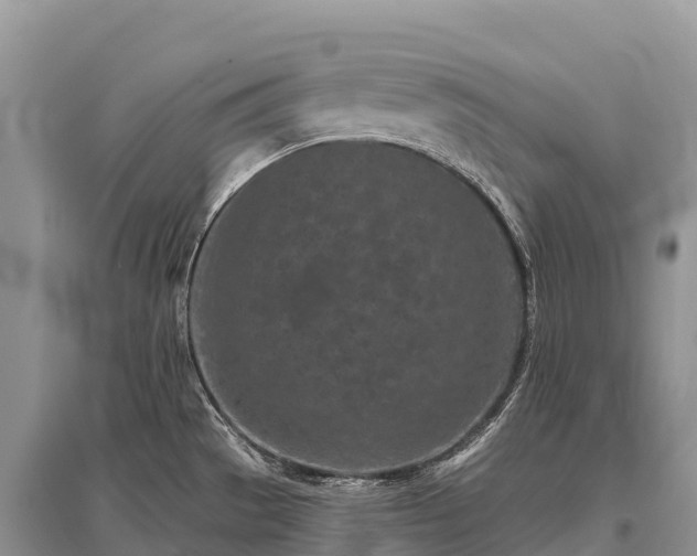 X0000096151529200801251053