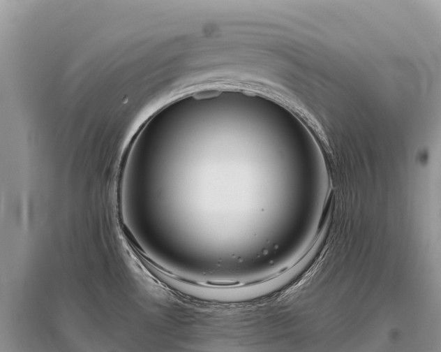 X0000096151530200801251053