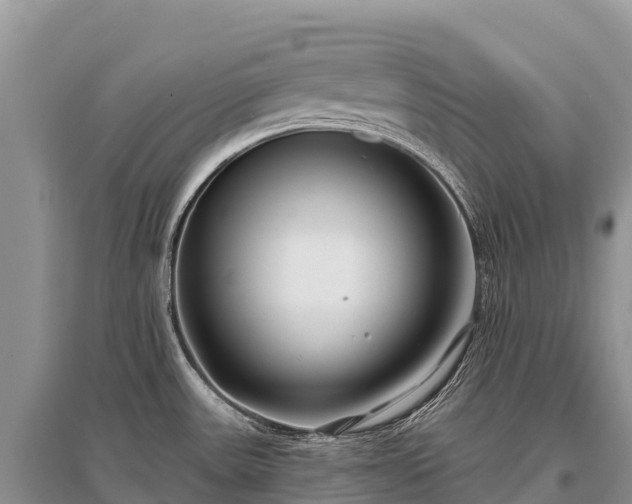 X0000096151531200801251053