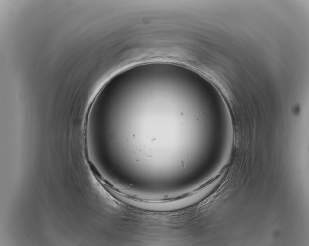 X0000096151532200801251053
