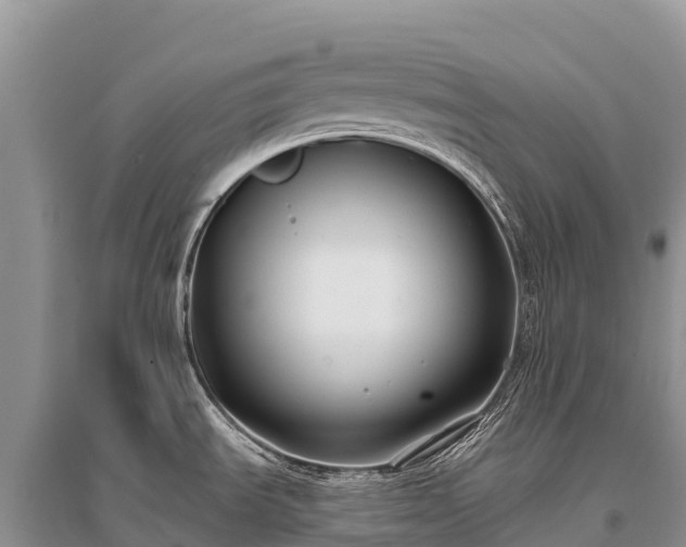 X0000096151535200801251053
