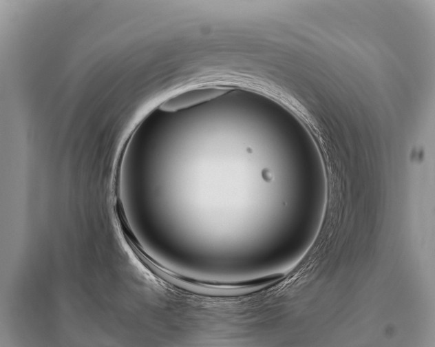 X0000096151536200801251053