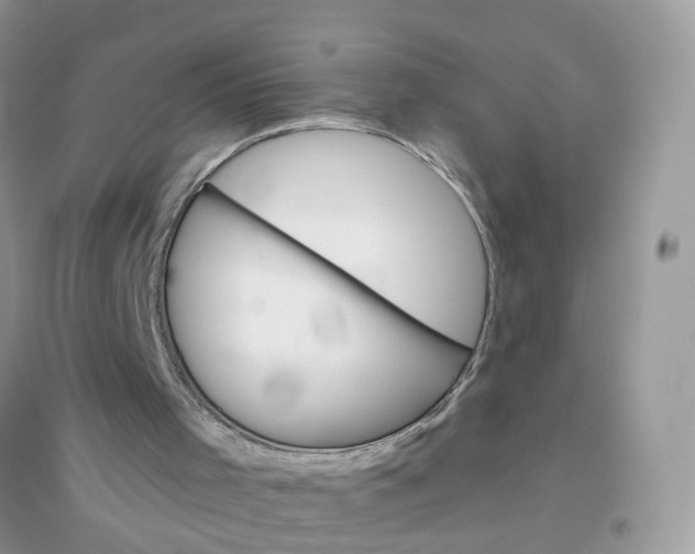X0000096150001200802011243