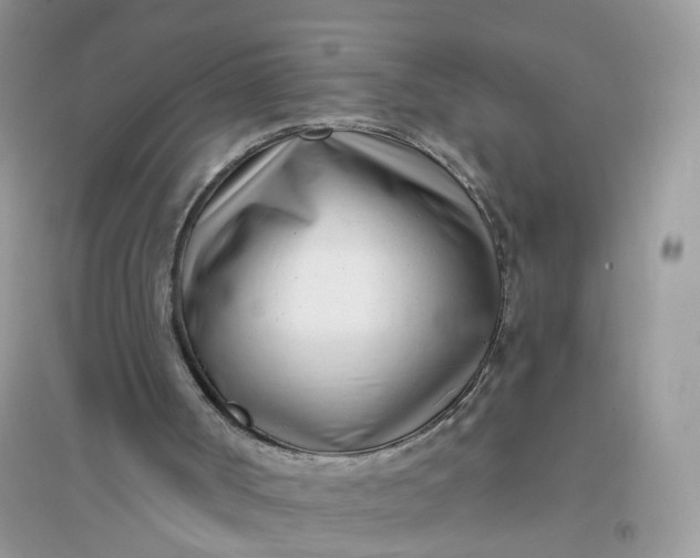 X0000096150002200802011243