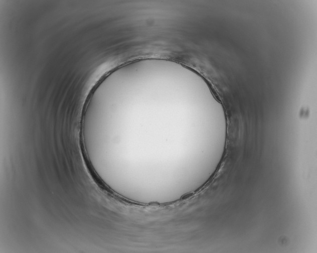 X0000096150003200802011243