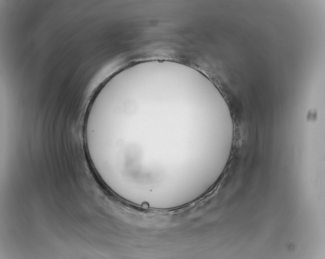 X0000096150004200802011243