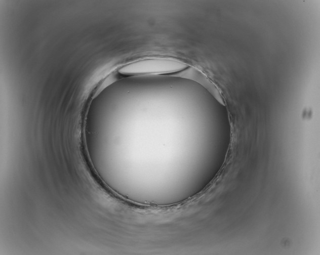 X0000096150005200802011243