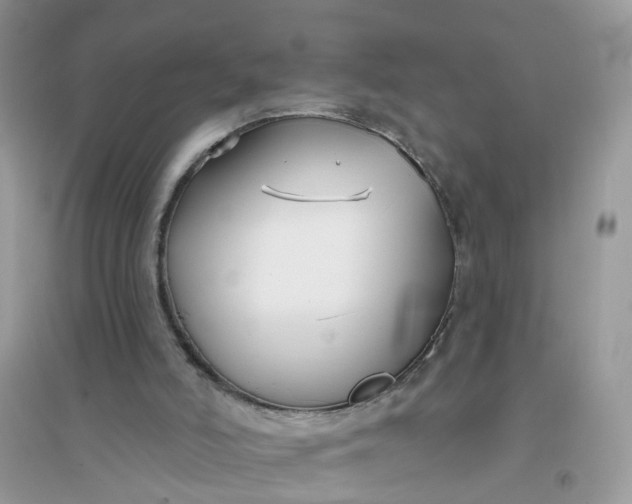 X0000096150006200802011243