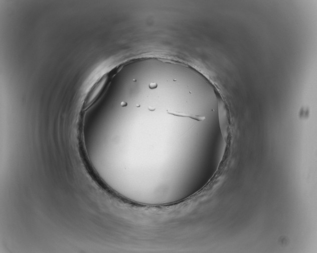 X0000096150007200802011243