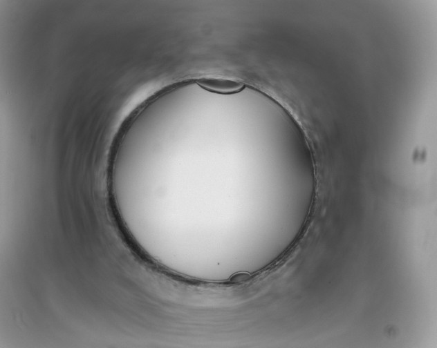 X0000096150008200802011243
