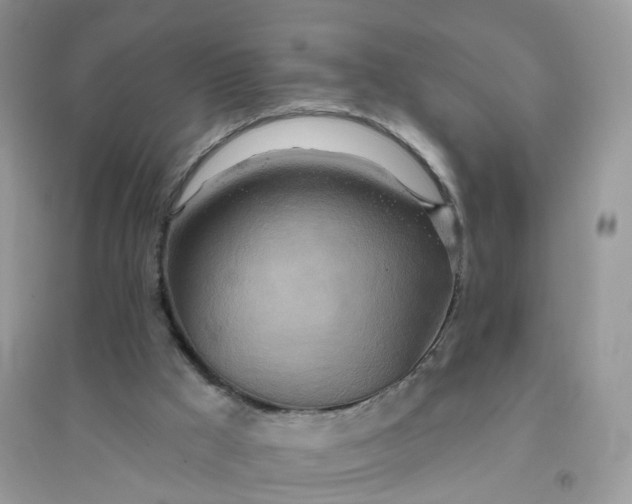 X0000096150009200802011243