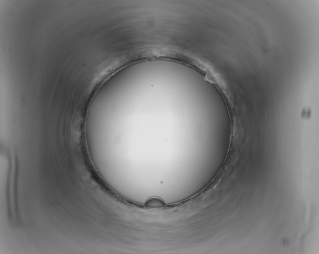 X0000096150010200802011243