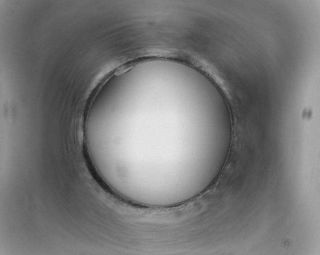 X0000096150011200802011243