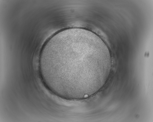 X0000096150012200802011243