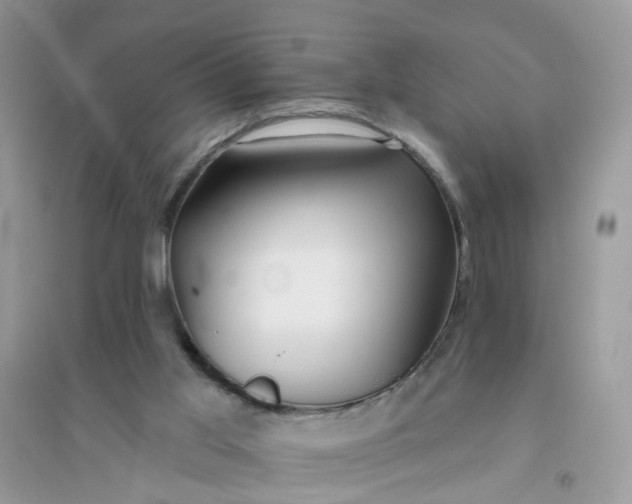 X0000096150013200802011243