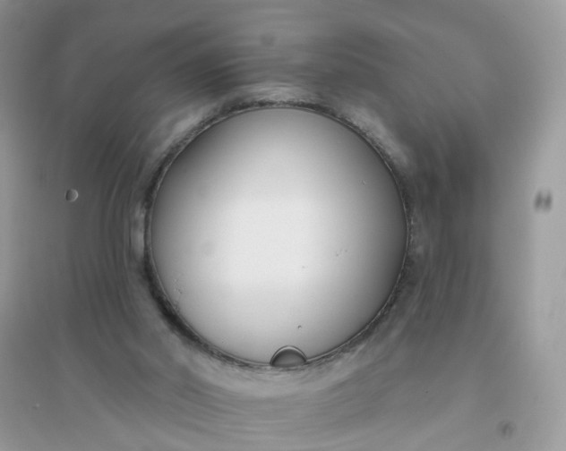 X0000096150014200802011243
