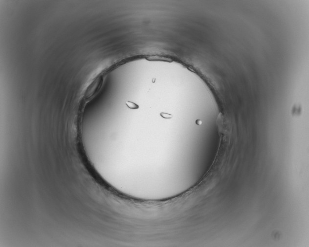 X0000096150015200802011243