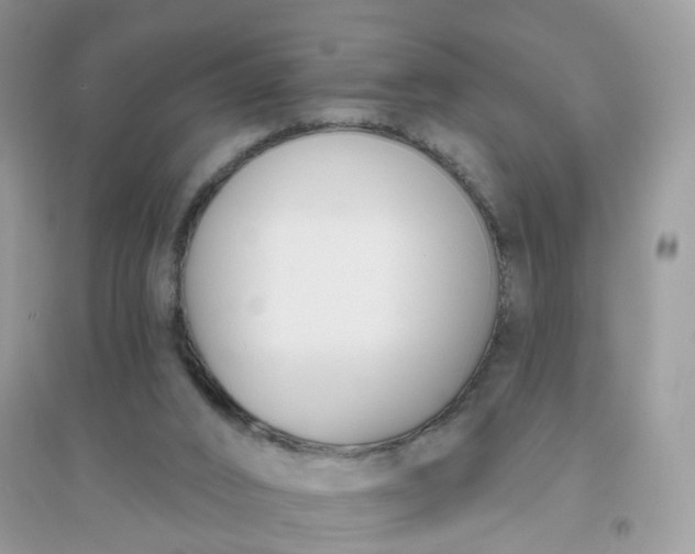 X0000096150016200802011243
