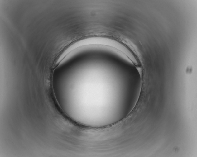 X0000096150017200802011243