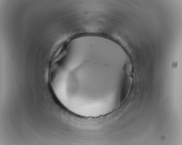 X0000096150019200802011243