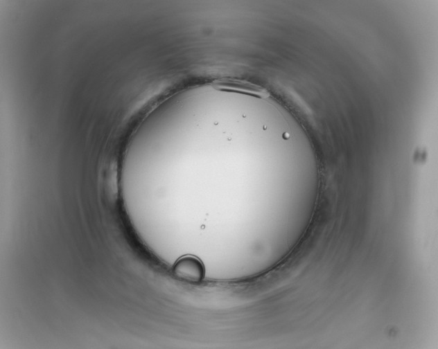 X0000096150020200802011243
